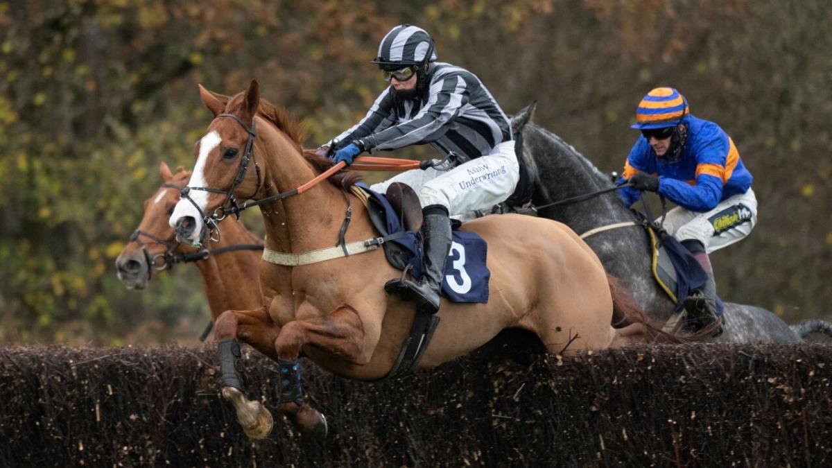 Lingfield fences 